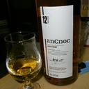 ancnoc avatar