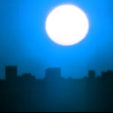 ancoliestragedy avatar