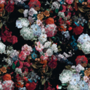 ancor4-impar0 avatar