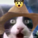 and-remember-meme avatar