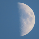 and-the-in-between avatar