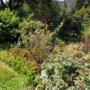 and-the-times-we-had avatar