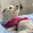 andbehappy-now avatar