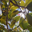 anddidyouhaveawonderfultime avatar