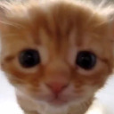 andforyourlove avatar