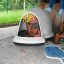 andhegetsthegirl avatar