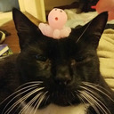 andiedoesnothin avatar