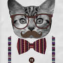 andiivo avatar