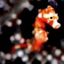 anditscomingcloser-blog avatar