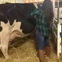 andlovebythestars avatar