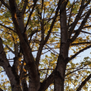 andlovedaresyoutocarefor avatar