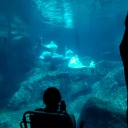 andmilesbeforeisleep avatar