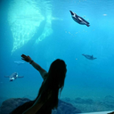 andoliel-blog avatar