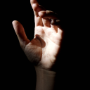 andorinhas-minhas avatar