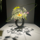 andraillaa avatar