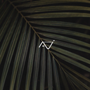 andravictoria avatar