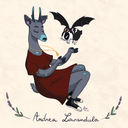 andrea-lavandula avatar