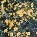 andrea18sworld avatar