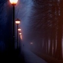 andreacecelia avatar