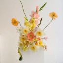 andreacrossing avatar