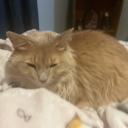 andreaivashkov avatar