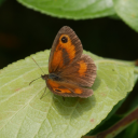 andreaslittlecorner avatar