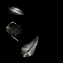 andreeab26569 avatar