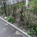 andreeaioana002 avatar