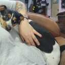 andrefallas97 avatar