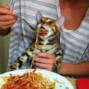 andreimothboi avatar