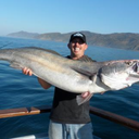 andreistrizek avatar