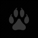 andreluicci-blog avatar