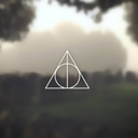 andresariaskst avatar