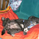 andrespenas-blog-blog avatar