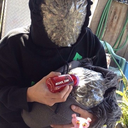 andreweatworld avatar