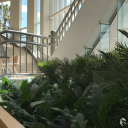 andrewminyartd avatar