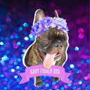 andrews-fisher-streep avatar