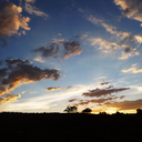 andrewtheshredder avatar