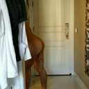 andrex2003-blog avatar