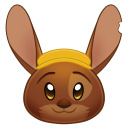 androace-bunny avatar