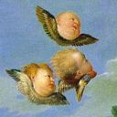 androgynousexhale avatar