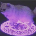 androgynousstarlightcrusade avatar