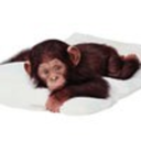 androgynyamorous avatar