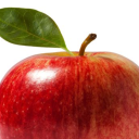 andromeda-apple avatar