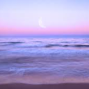 andromeda-glitter avatar