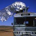 andromeda-grace avatar