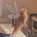 andromedaevet avatar