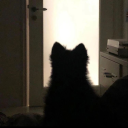 andromedagraces-blog avatar