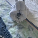 andromedas-library avatar