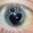 andromedascowardice avatar